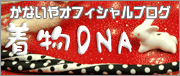 着物ＤＮＡ